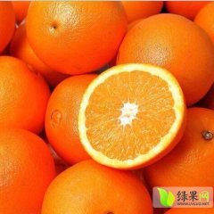 麻阳兰里龚凯12月麻阳冰糖橙柑橘