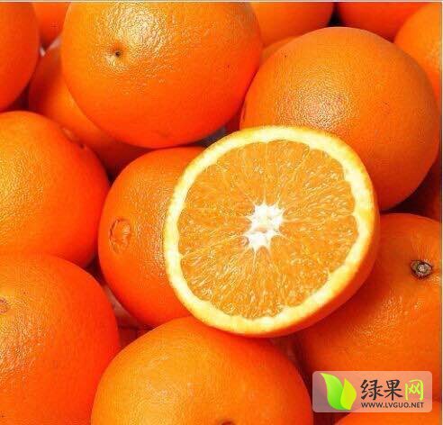 2015年湖南麻阳麻阳冰糖橙价格