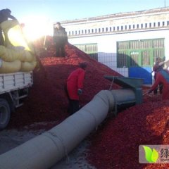 2014年德州产区辣椒行情分析