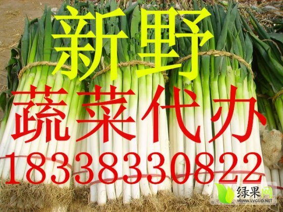2014年河南新野漳浦大葱价格