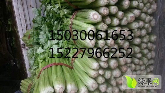 2014年河北永年香芹价格