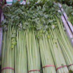 东昌府于集李传芝11月法国皇后芹菜