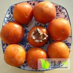 山西省冷冻小柿子