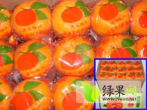 2014年湖北当阳椪柑价格