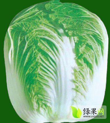 2014年河南南阳青杂三号价格