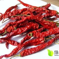 甘肃玉门干辣椒假一赔十