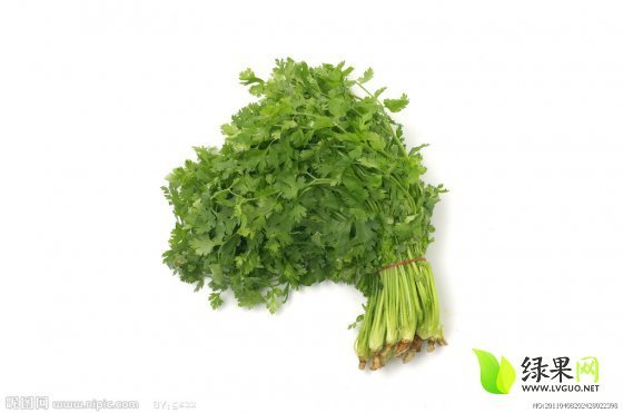 供应莘县王丰尹新增12月原阳秋香菜