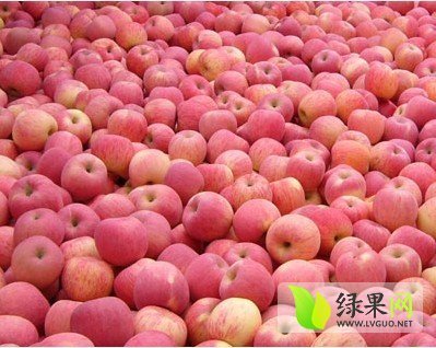 2015年山东沂源红富士价格