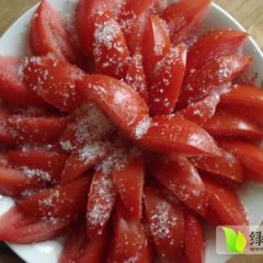 2014滕州西红柿值得出手