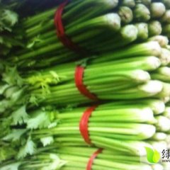 沂南芹菜上货量大,众鑫宗焕胜诚信合作