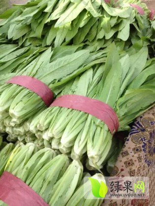2014年河北永年小油菜价格