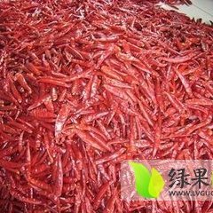 河南通许朝天椒5.5元左右，红太阳