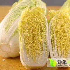 宜城王集娃娃菜绿色无公害