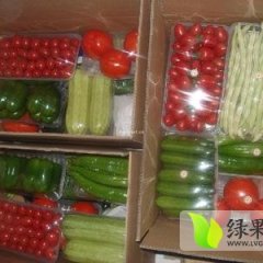 寿光西红柿口感爽口,诚信合作