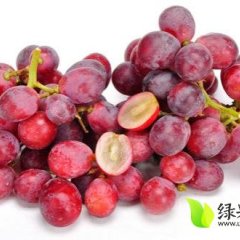 通许葡萄聚焦市场,上海高锋诚信合作