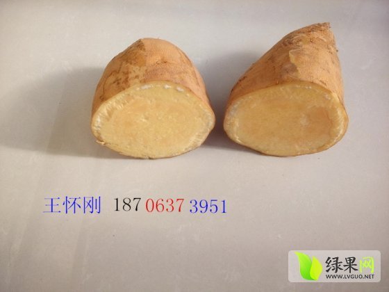 2015年山东临沭海南岛价格