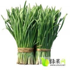 河南尉氏平韭6号韭菜火热上市