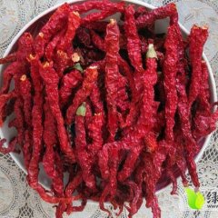 新疆托穆尔峰脚下金塔辣椒