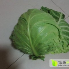 河北滦南8398甘蓝产销两旺