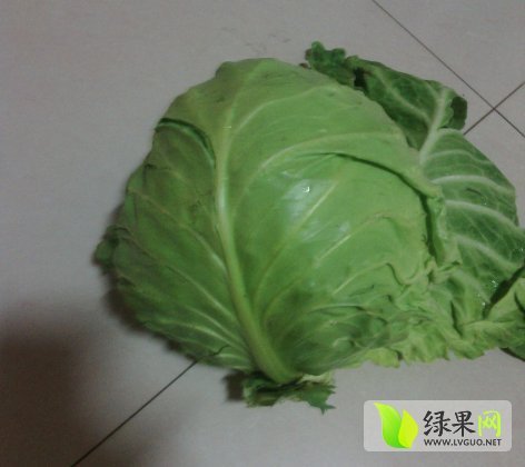 2015年河北滦南8398甘蓝价格