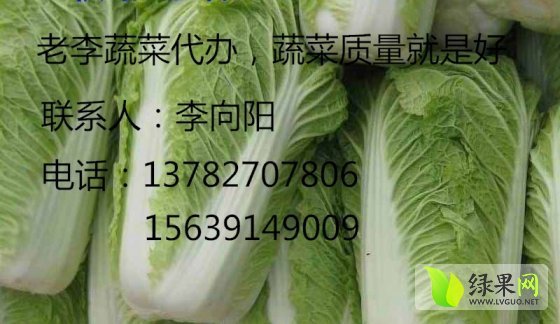 2014年河南博爱北京新三号价格