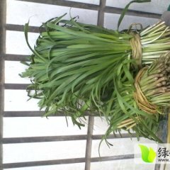 2014尉氏韭菜走过路过不要错过