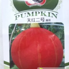 海南秀英红南瓜香甜可口
