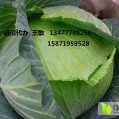 湖北嘉鱼平包新上市欢迎来电咨询订购实地考察