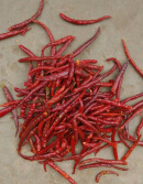 供应2014云南罗平细红干辣椒，今年价格有看点