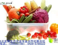 兴城沙后杨刚12月精品蔬菜 礼品其他蔬菜
