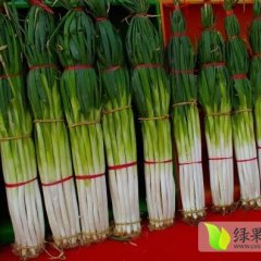 2014章丘大葱值得出手