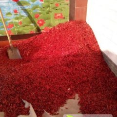 山西绛县三樱椒辣椒绿色无公害