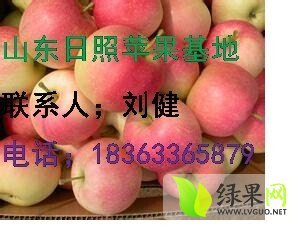 2014年山东东港红富士价格