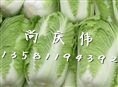 山东肥城北京新三号白菜假一赔十