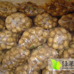 内蒙古武川克新一号土豆火爆招商中