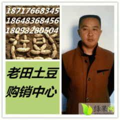 陕北甘肃宁夏万吨土豆储存库