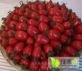 2014年山东莘县千禧，园粉，价格