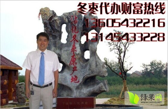 2014年山东沾化沾化冬枣价格