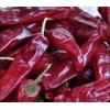 山西省忻州市北京红辣椒