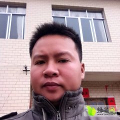 荔浦广西梁光强11月砂糖柑沙糖桔