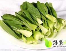 江苏沛县上海青小白菜质量上乘