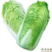 2014年山东87-114白菜价格