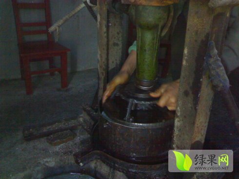 2015年山东平邑花生油价格