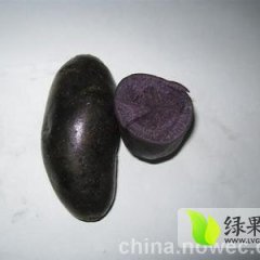 内蒙古宁城黑金刚土豆名优产品