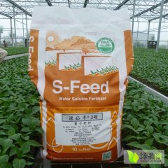 选质量最好的平衡性肥料就来安信种苗