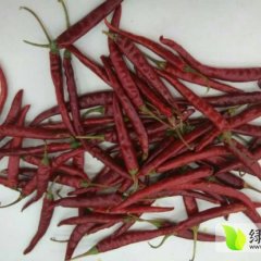 供应云南细红干辣椒批发