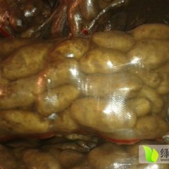 2014海拉尔土豆再不来就没机会了！