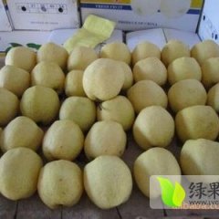 礼泉梨价格适宜,城关贺明智诚信合作