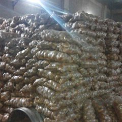 内蒙古呼和浩特夏波蒂、克新土豆价格适宜