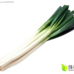 2015章丘大葱抓住商机无限